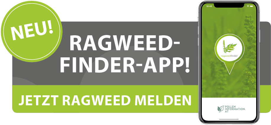 Ragweedfinder App